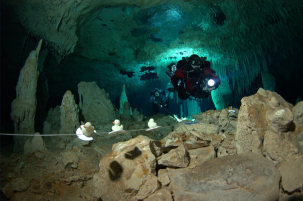Buceo en los cetones AdvanceDiverMexico