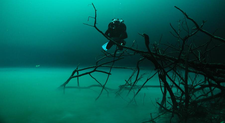 Buceo en los cetones AdvanceDiverMexico