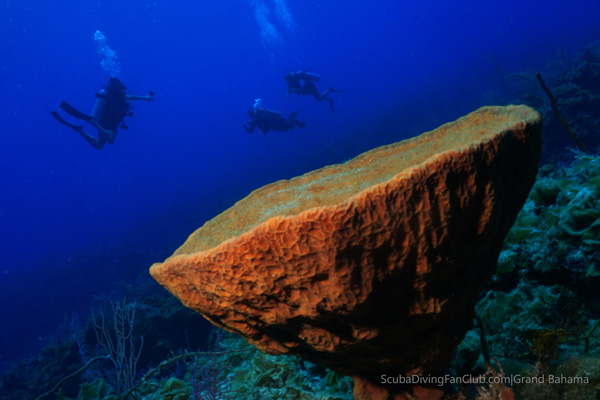 Runaway Bay-Jamaica