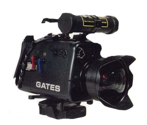 Diving Video Gates