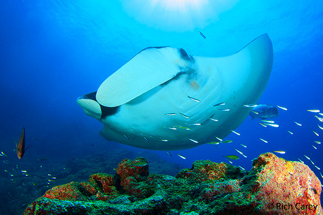 Khao_Lak_Beach-Thailand