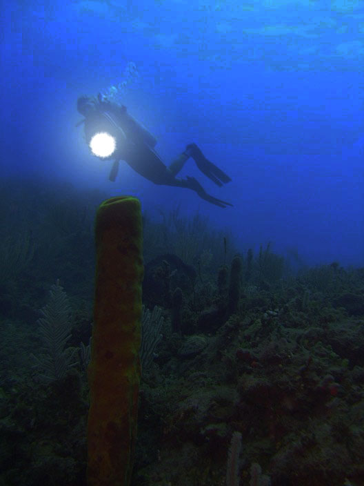 Diver at night, Scuba diving at night.