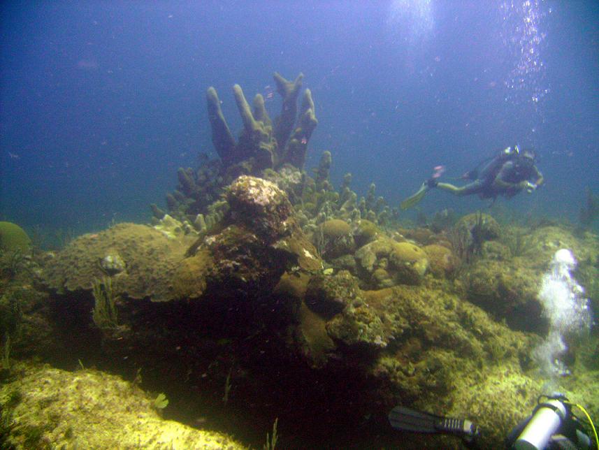 Scuba Diving in Punta Cana