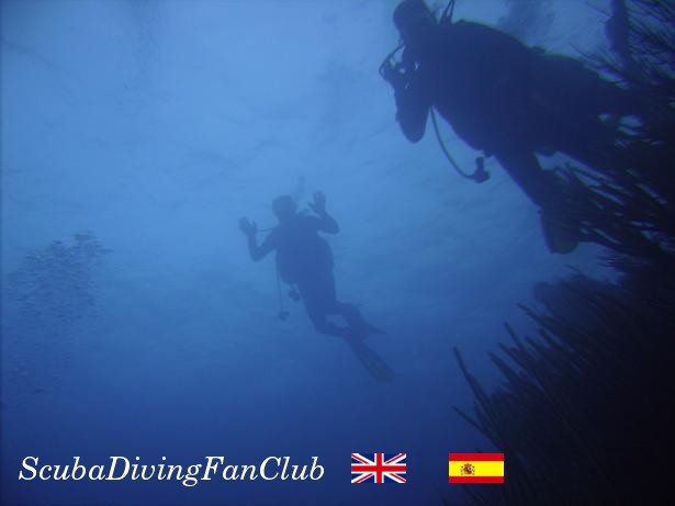 Scuba Diving Picture