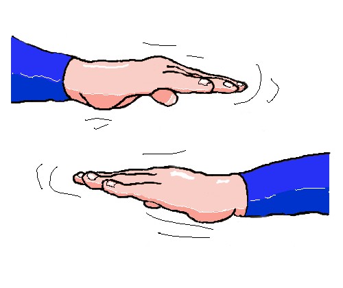 Diving signal For Hover or stay neutral.