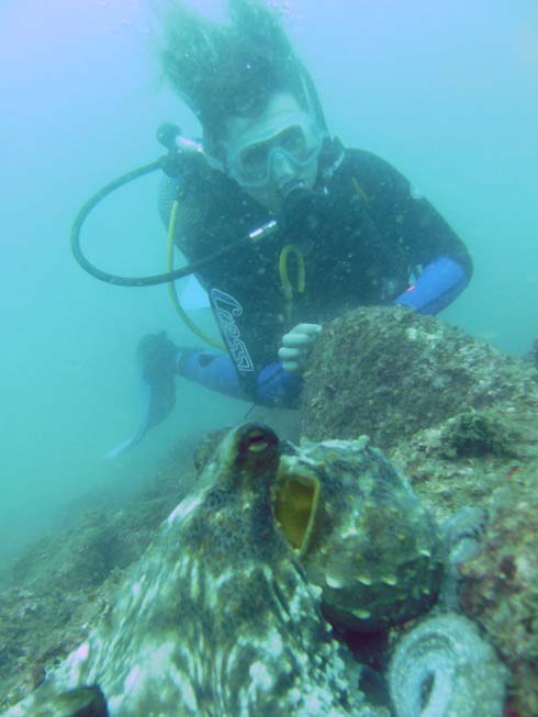 buceo en malaga, Espana
