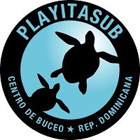 PlayitaSub logo