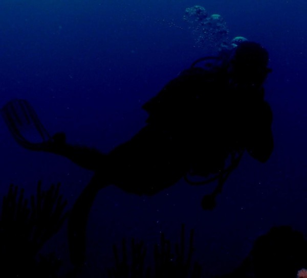 Night diver with flashlight off