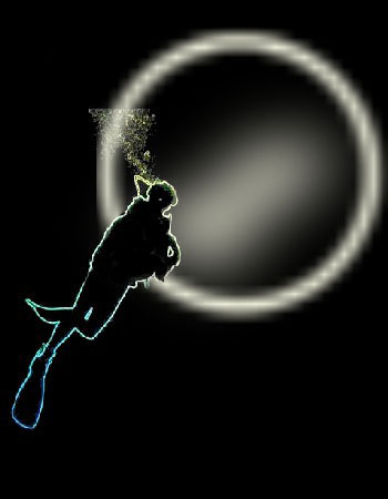 night dive ok signal