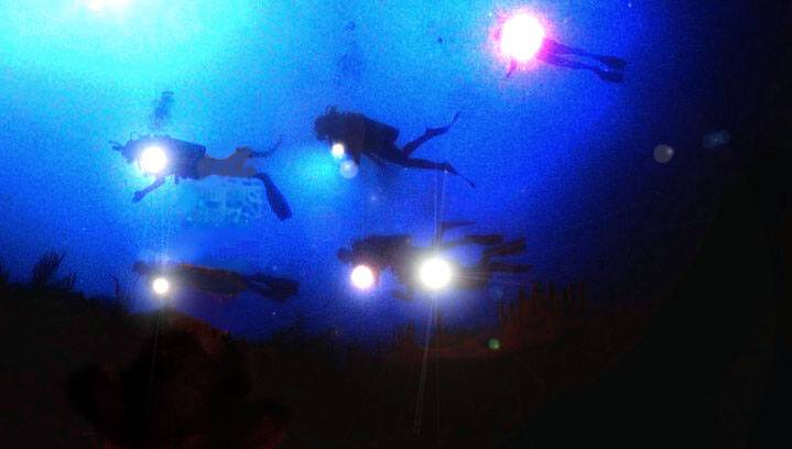 Group Night diving