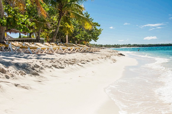 Diving_Catalina_Island
